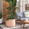 SAFAVIEH Outdoor Collection Nardo Beige Cement Ficonstone Planter Pot(Terracotta)