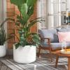 SAFAVIEH Outdoor Collection Nardo Beige Cement Ficonstone Planter Pot(White)