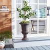 SAFAVIEH Outdoor Collection Paul Traditional Brown Planter (Fully Assembled)(Brown)