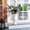 SAFAVIEH Outdoor Collection Paul Traditional Brown Planter (Fully Assembled)(Off White)