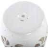 Safavieh Imperial Vine Ceramic Decorative Garden Stool, Light Blue(Antique White)