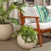 Safavieh Outdoor Collection Gerand Black Concrete Planter (Fully Assembled)(Beige)
