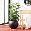 Safavieh Outdoor Collection Gerand Black Concrete Planter (Fully Assembled)(Black)