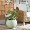 Safavieh Outdoor Collection Gerand Black Concrete Planter (Fully Assembled)(Sage)