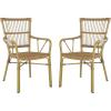 SAFAVIEH Outdoor Collection Bora Tropical Brown Patio Arm Chair Set of 2 (Fully Assembled)