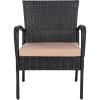 SAFAVIEH Outdoor Collection Moore Black Rattan/Beige Cushion 3-Piece Patio Lounge Bistro Set with Table (PAT9009A)(Black / Beige)