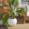 Safavieh Outdoor Collection Gerand Black Concrete Planter (Fully Assembled)(White)