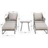 SAFAVIEH Outdoor Collection Narda Natural Grey/Grey Cushion 5-Piece Patio Chaise Lounge Set (PAT9018B-2BX)(Grey / Grey)