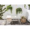 Safavieh Outdoor Collection Hadley Antique White Bench(Antique White)