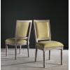 SAFAVIEH Home Collection Buchanan French Brasserie Linen Side Chair(Spring Green / Rustic Grey)