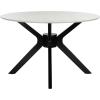 SAFAVIEH Home Collection Nicolai Matte Black Round Dining Room Table DTB1405A(Dark Grey / Black)