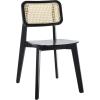 SAFAVIEH Home Collection Luz Coastal White/Natural Cane Rattan Dining Chair Set of 2(Black/Natural)