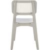 SAFAVIEH Home Collection Luz Coastal White/Natural Cane Rattan Dining Chair Set of 2(Grey/Natural)