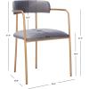 Safavieh Home Camille Grey Velvet and Gold Low Back Side Chair, Set of 2(Dark Grey/Gold)