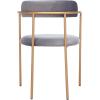 Safavieh Home Camille Grey Velvet and Gold Low Back Side Chair, Set of 2(Dark Grey/Gold)