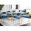Safavieh Home Camille Grey Velvet and Gold Low Back Side Chair, Set of 2(Navy / Gold)