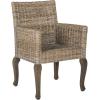 Safavieh Home Collection Armando Natural Wicker Dining Chair(Natural)