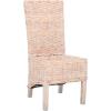 Safavieh Home Collection Pembrooke Wicker Side Chairs, Antique Grey, Set of 2(White Washed)