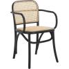 Safavieh Home Keiko White and Natural Cane Dining Chair(Black / Natural)