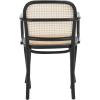 Safavieh Home Keiko White and Natural Cane Dining Chair(Black / Natural)