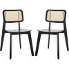 SAFAVIEH Home Collection Luz Coastal White/Natural Cane Rattan Dining Chair Set of 2(Black/Natural)