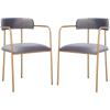 Safavieh Home Camille Grey Velvet and Gold Low Back Side Chair, Set of 2(Dark Grey/Gold)