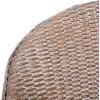 SAFAVIEH Home Antonia Coastal Grey White Wash Rattan Accent Chair with Cushion (ACH6504A)