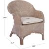 SAFAVIEH Home Antonia Coastal Grey White Wash Rattan Accent Chair with Cushion (ACH6504A)