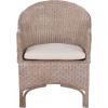 SAFAVIEH Home Antonia Coastal Grey White Wash Rattan Accent Chair with Cushion (ACH6504A)