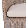 SAFAVIEH Home Antonia Coastal Grey White Wash Rattan Accent Chair with Cushion (ACH6504A)