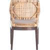 SAFAVIEH Home Collection Carlo Arm Chair, Honey