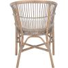 Safavieh Home Collection Olivia Rattan Cushion Accent Chair, Natural/White(White Washed / White)