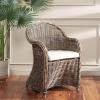 SAFAVIEH Home Collection Callista Yellow Wicker Club Chair(Black Wash)
