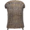 SAFAVIEH Home Collection Callista Yellow Wicker Club Chair(Black Wash)