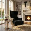Safavieh Couture Geode Modern Light Blue Wingback Chair(Black)
