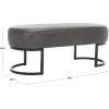 Safavieh Home Collection BCH6403 Bench, Grey