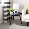 Safavieh Home Fritz Black Tray Top Round Side Table
