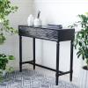 Safavieh Home Collection Aliyah Greige 2-Drawer Console Table(Black)