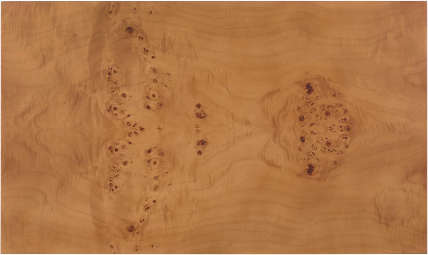 image:imageSAFAVIEH Couture Collection Tessly Walnut Burl Veneer Chest Modern Storage Cabinet with Shelf Fully Assembled SFV5549AWalnut BurlBrass