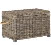 SAFAVIEH Home Collection – Salim Grey Rattan Storage Trunk with Handles, Woven Wicker Storage Chest for Living Room, Bedroom or Den, Fully Assembled (SEA7019A)