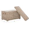 SAFAVIEH Home Collection – Salim Grey Rattan Storage Trunk with Handles, Woven Wicker Storage Chest for Living Room, Bedroom or Den, Fully Assembled (SEA7019A)