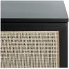 Safavieh Home Collection Zadie Coastal Black/Natural Rattan 3-Door Storage Sideboard(Black/Natural)