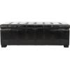 Safavieh Hudson Collection Nolita Leather Large Storage Bench, Saddle(Black)