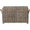 SAFAVIEH Home Collection – Salim Grey Rattan Storage Trunk with Handles, Woven Wicker Storage Chest for Living Room, Bedroom or Den, Fully Assembled (SEA7019A)