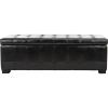Safavieh Hudson Collection Nolita Leather Large Storage Bench, Saddle(Black)