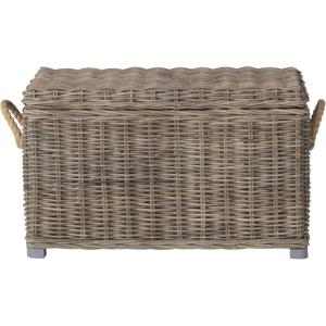 SAFAVIEH Home Collection – Salim Grey Rattan Storage Trunk with Handles, Woven Wicker Storage Chest for Living Room, Bedroom or Den, Fully Assembled (SEA7019A)