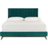 SAFAVIEH Couture Collection Tsarina Dark Seafoam Velvet Tufted Queen Size Bed(Dark Seafoam/Gold)