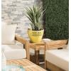 SAFAVIEH Couture Outdoor Collection CPT1002 Table, Black(Natural Teak)