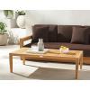 SAFAVIEH Couture Outdoor Collection Samoa Natural Brown Brazilian Teak Solid Wood Patio Coffee Table