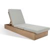 SAFAVIEH Outdoor Couture Collection Vincent Dark Brown Solid Wood/Beige Cushion Chaise Lounge Chair with Storage (CPT1043A)(Brown/Light Grey)